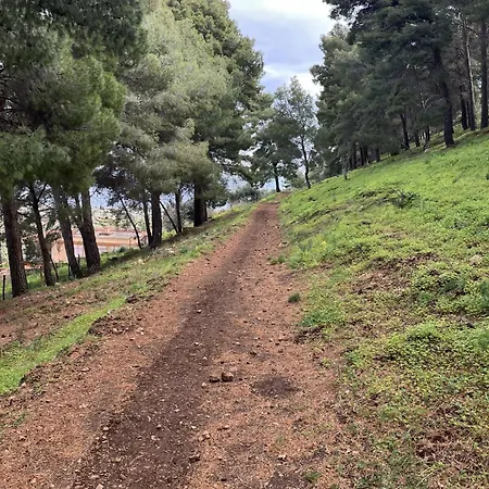 Ale * Altavilla Milicia